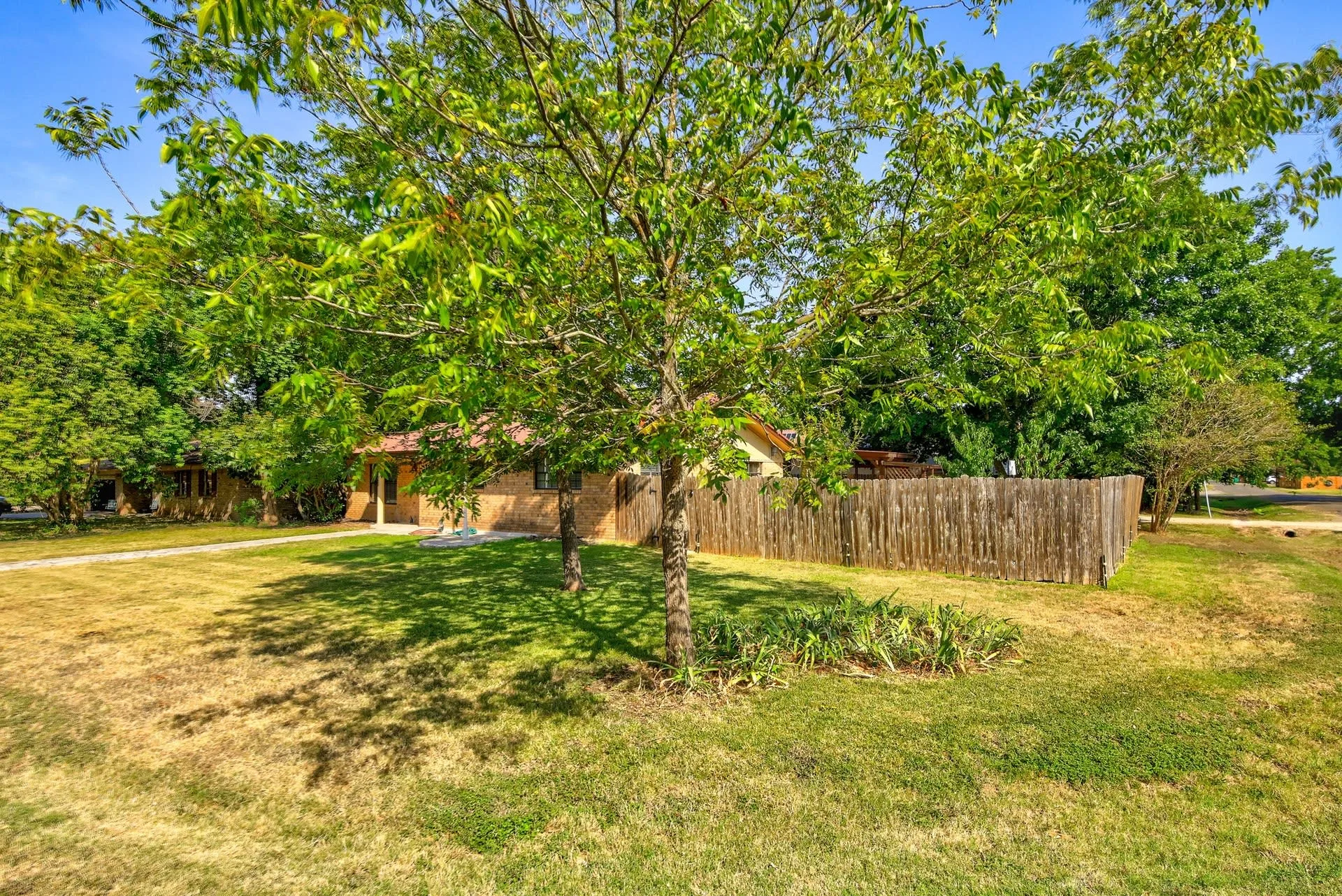 509 Hosack St photo 5