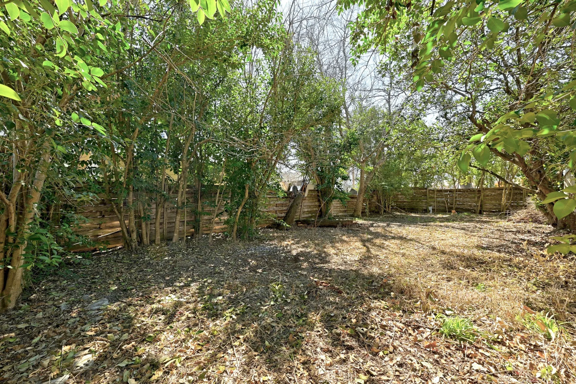 4905 Lynndale Dr, Austin, Texas 78756 photo 23