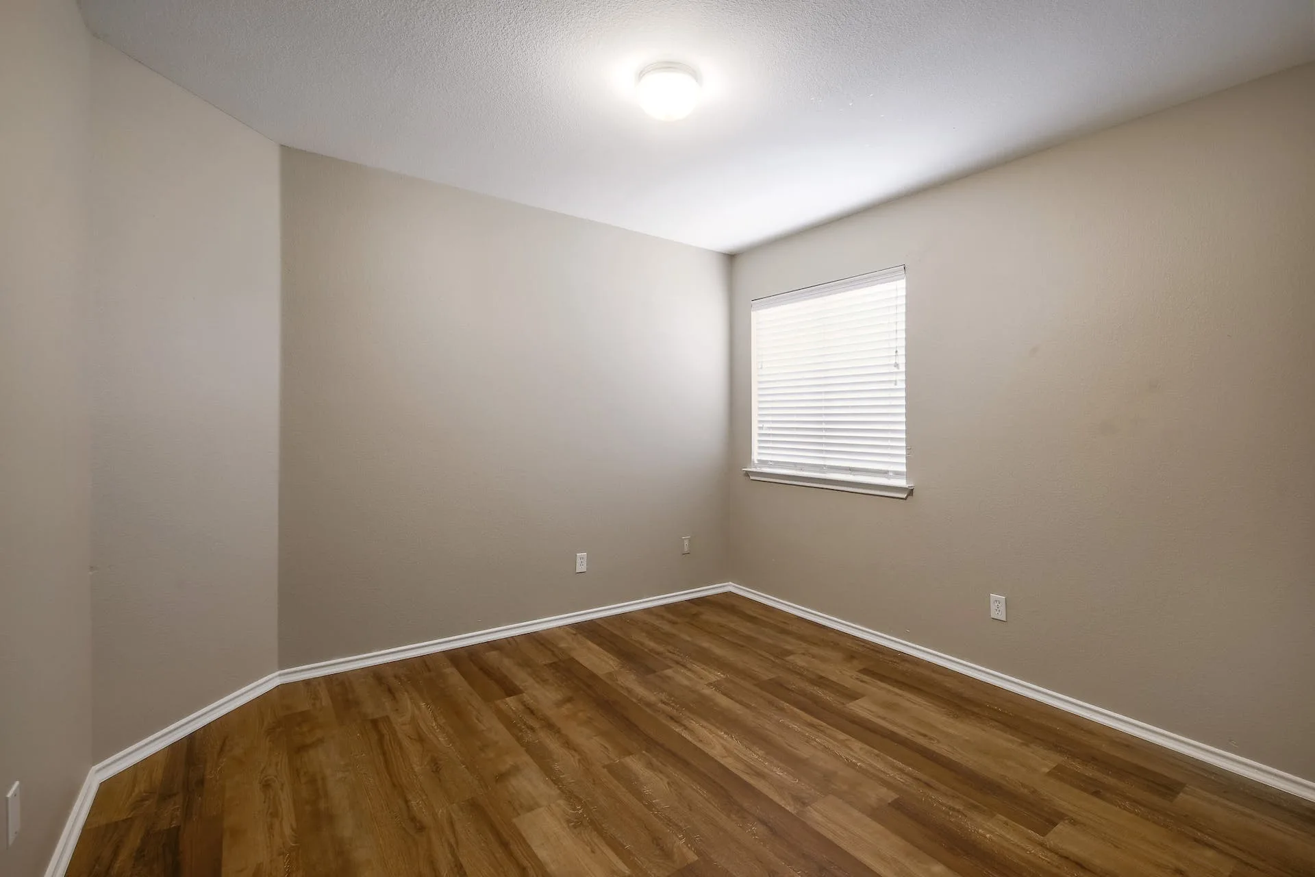 800 Sweet Leaf Ln, Pflugerville, Texas 78660 photo 18