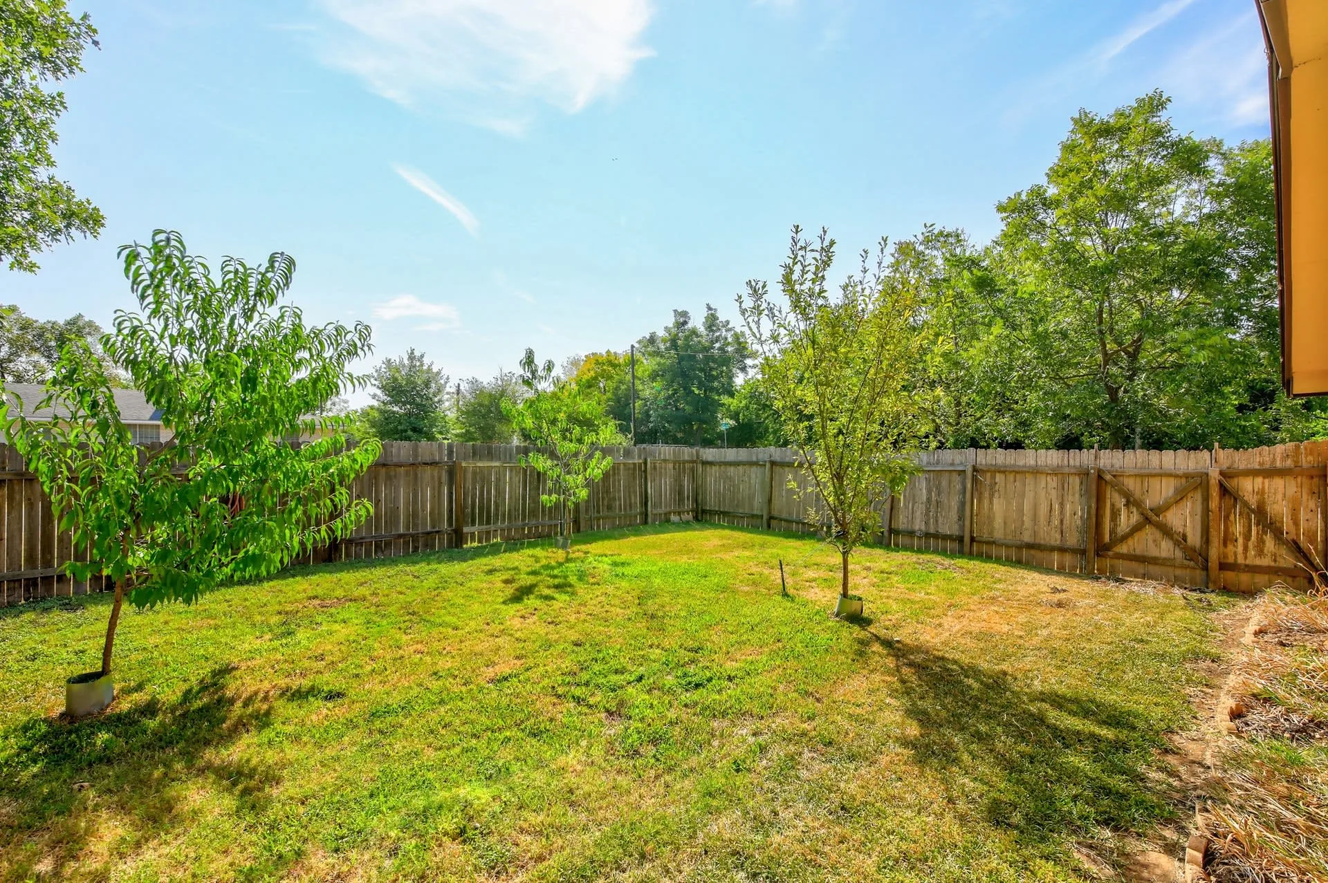 509 Hosack St photo 26