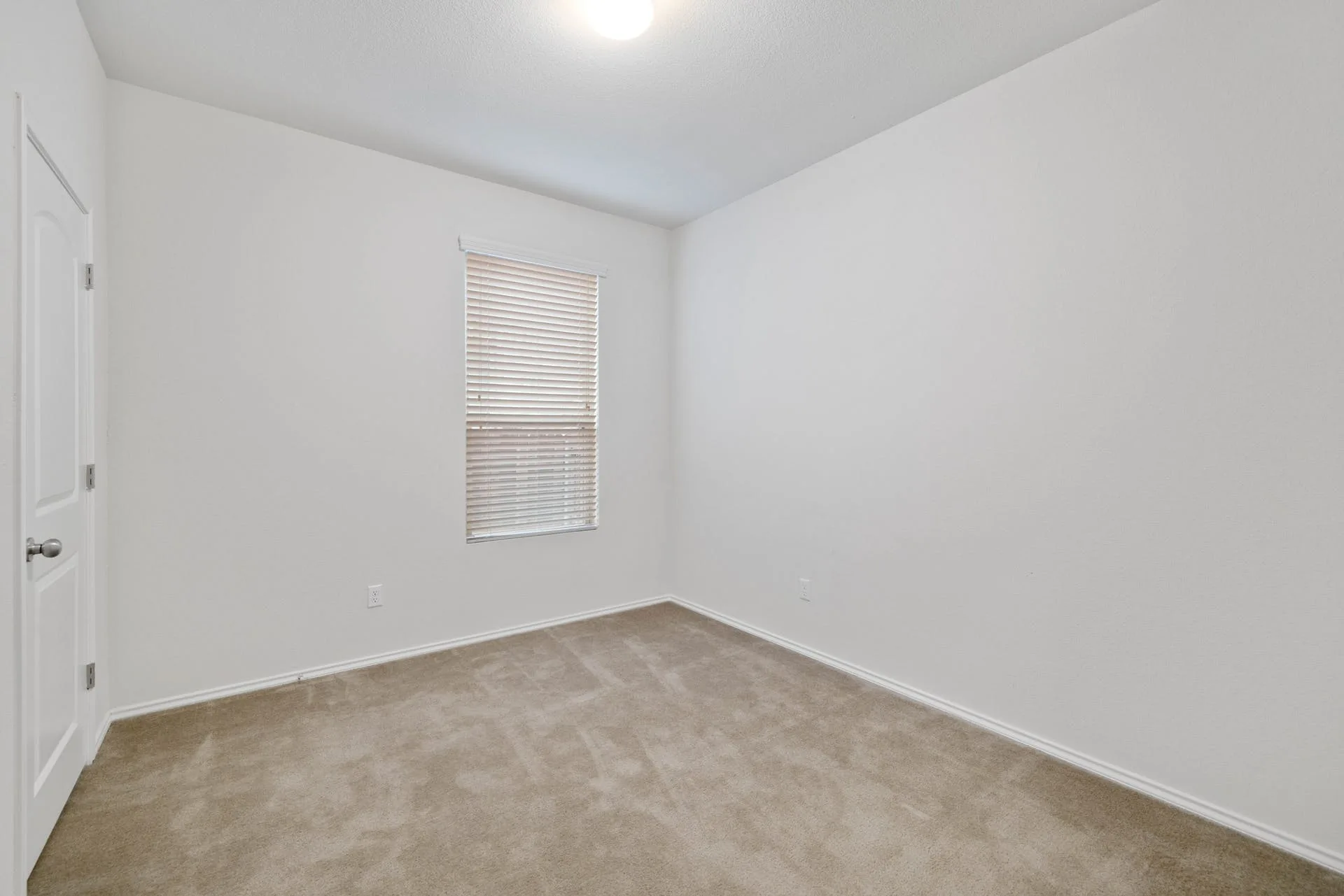 173 Carlina Loop, Liberty Hill, Texas 78642 photo 22