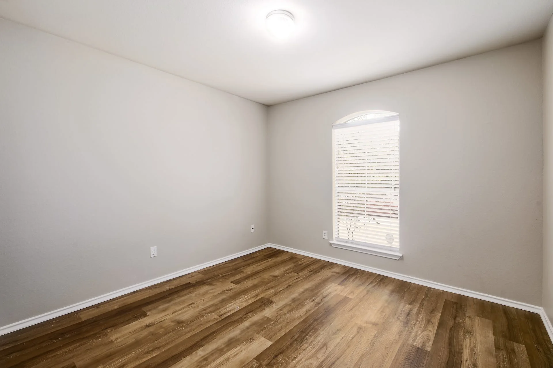 800 Sweet Leaf Ln, Pflugerville, Texas 78660 photo 17