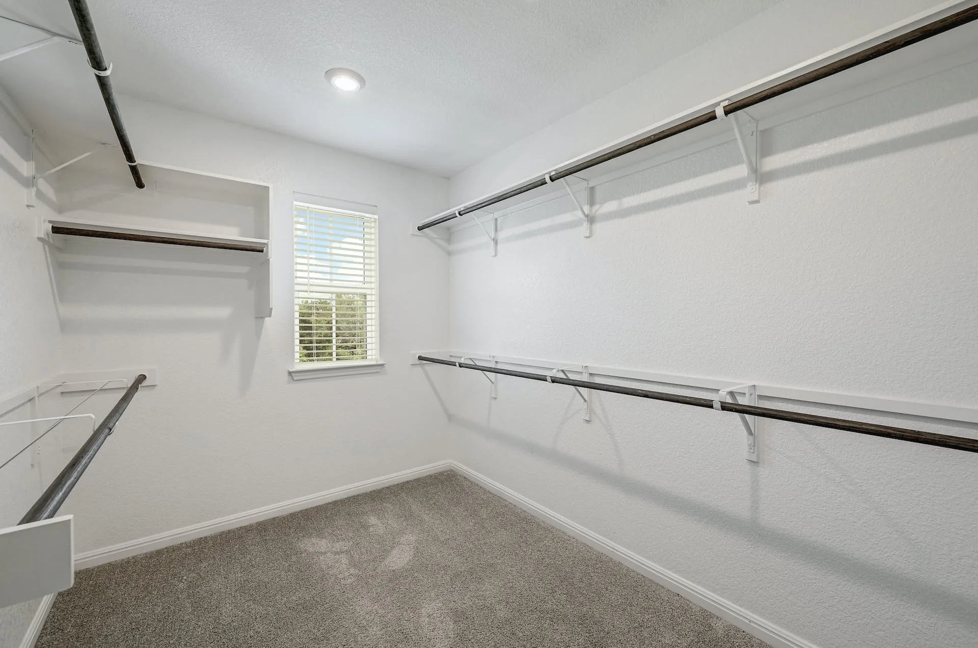 113 Mount Ord Ln, Dripping Springs, Texas 78620 photo 18