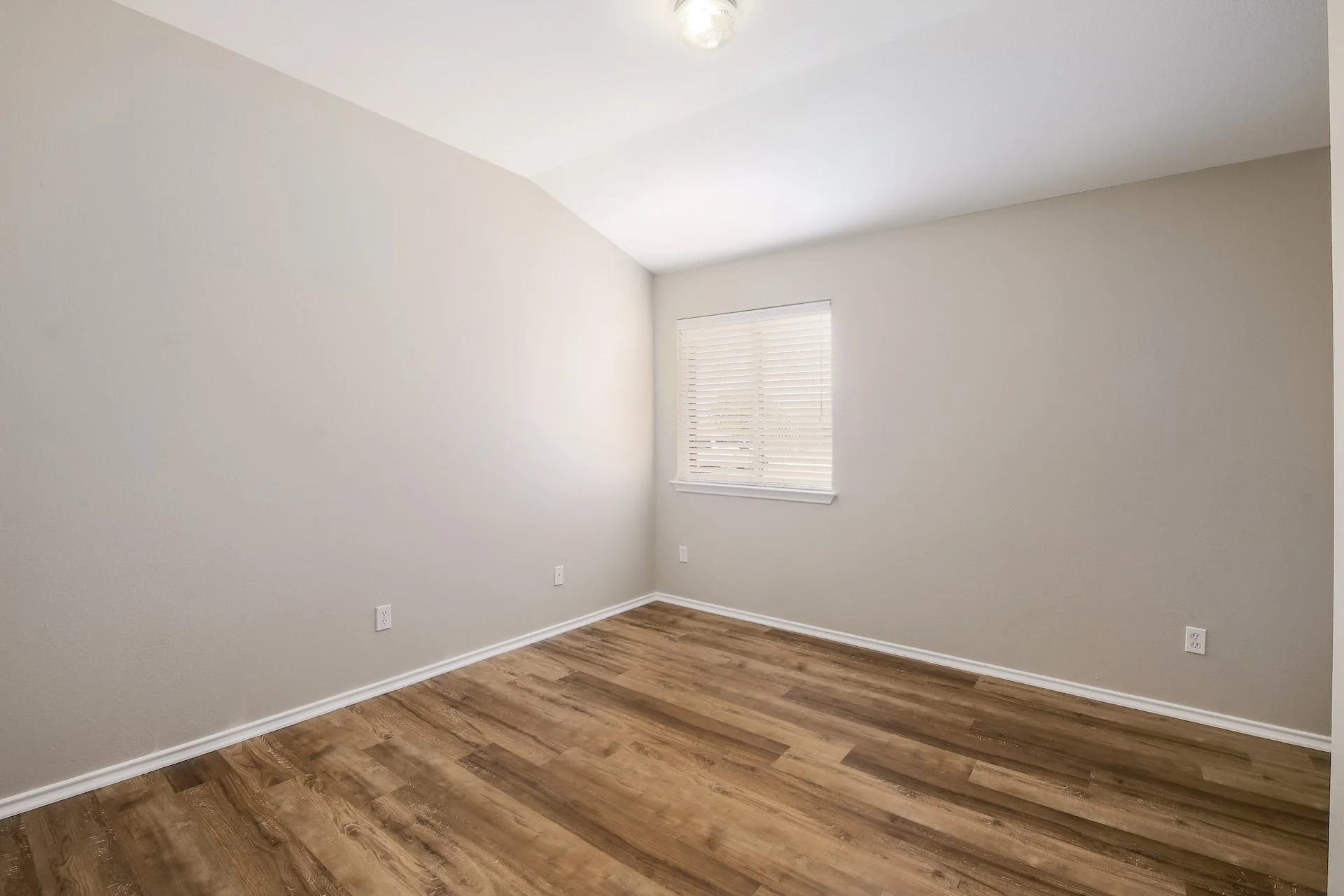 800 Sweet Leaf Ln, Pflugerville, Texas 78660 photo 20