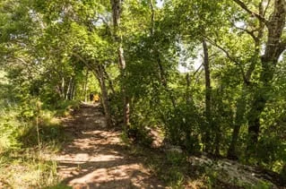 5221 Buchanan Draw Rd, Austin, Texas 78738 photo 31